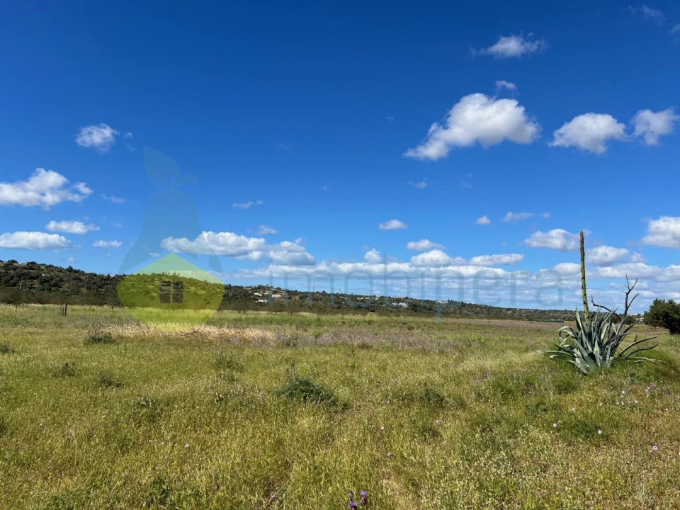 Terreno Agricola ou Rústico para Venda em Algoz e Tunes Foto 2