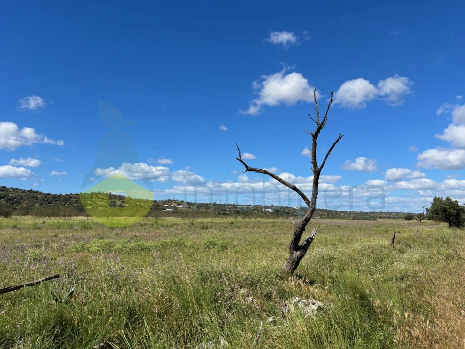Terreno Agricola ou Rústico para Venda em Algoz e Tunes Foto 4