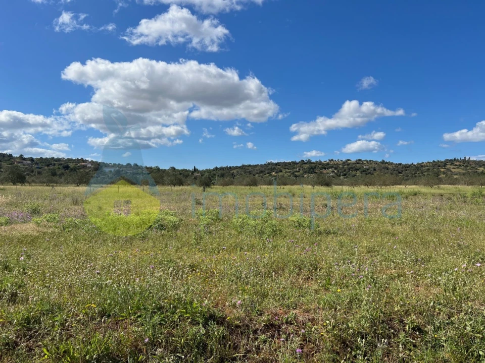Terreno Agricola ou Rústico para Venda em Algoz e Tunes Foto 7