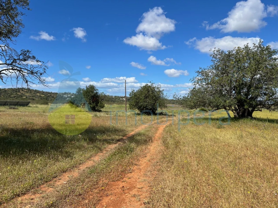 Terreno Agricola ou Rústico para Venda em Algoz e Tunes Foto 10