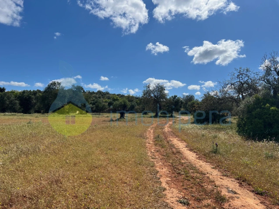 Terreno Agricola ou Rústico para Venda em Algoz e Tunes Foto 11