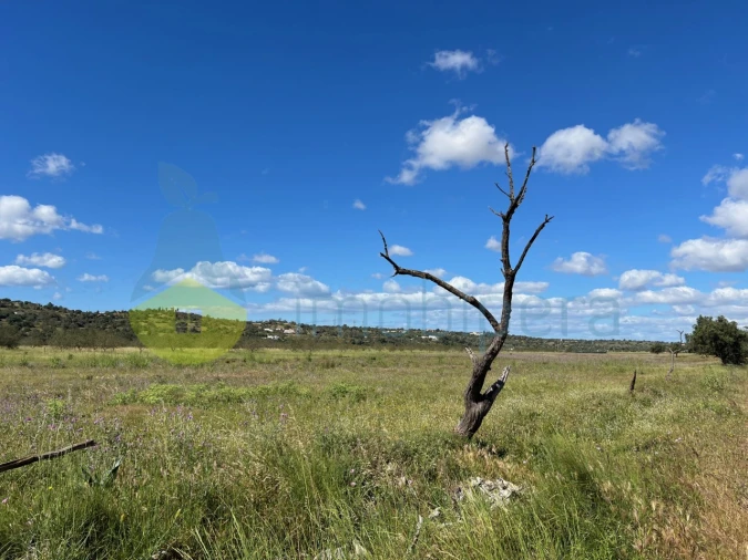 Terreno Agricola ou Rústico para Venda em Algoz e Tunes Foto 4