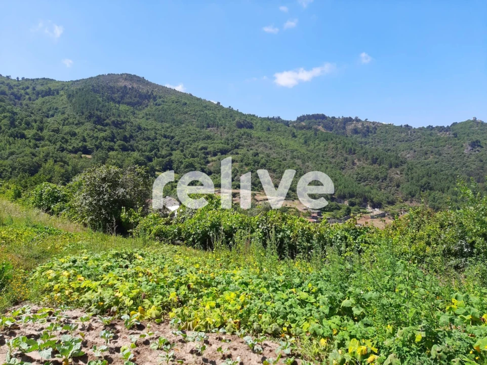 Quinta T3 para Venda em Anreade e São Romão de Aregos Foto 12