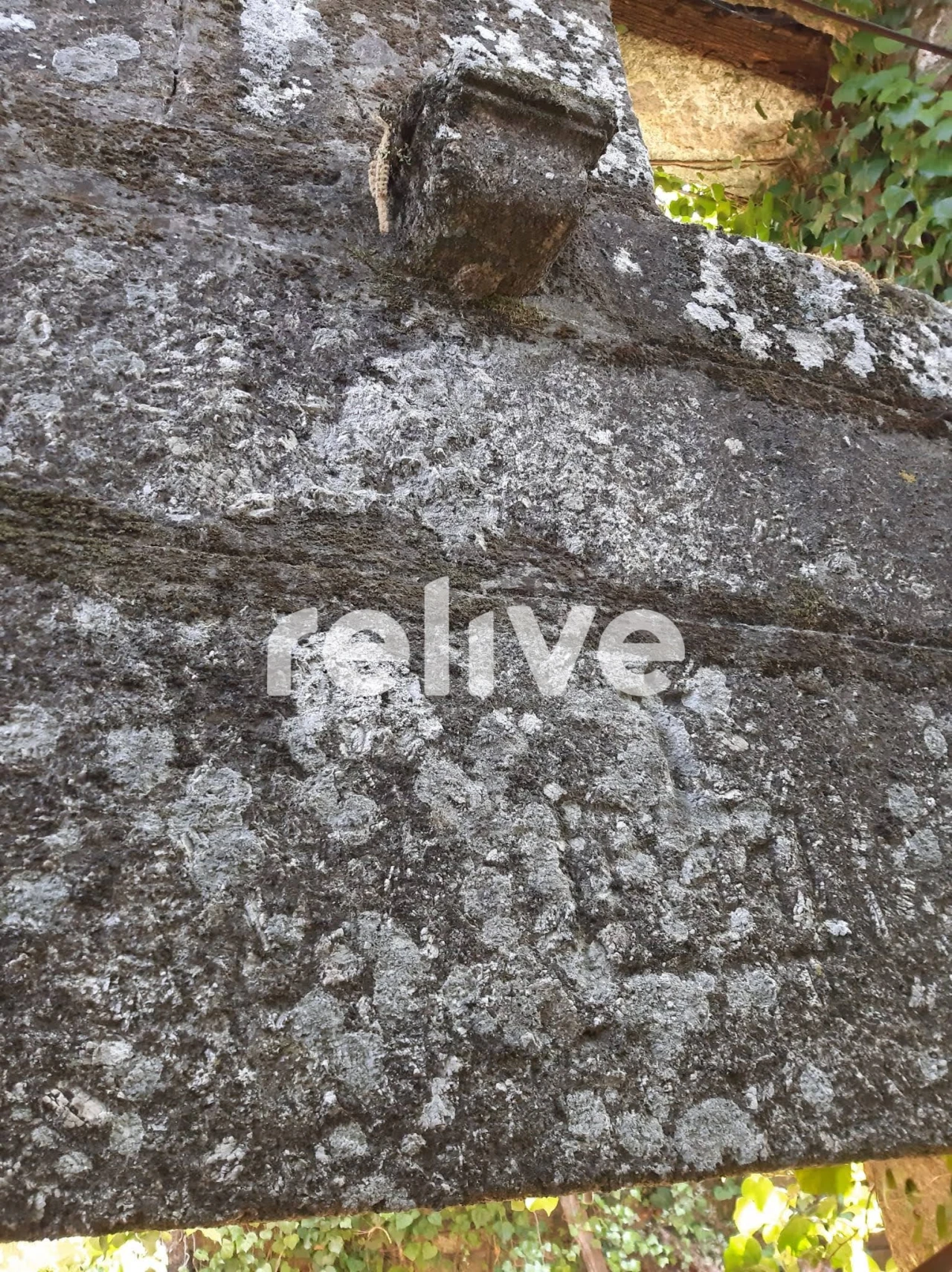 Quinta T3 para Venda em Anreade e São Romão de Aregos Foto 23