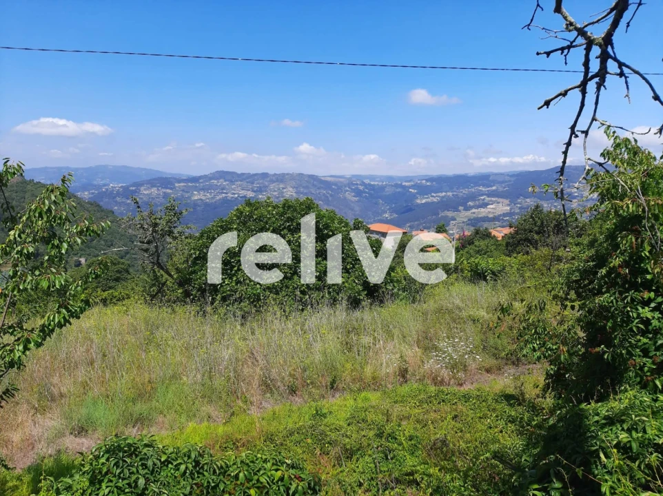 Quinta T3 para Venda em Anreade e São Romão de Aregos Foto 4