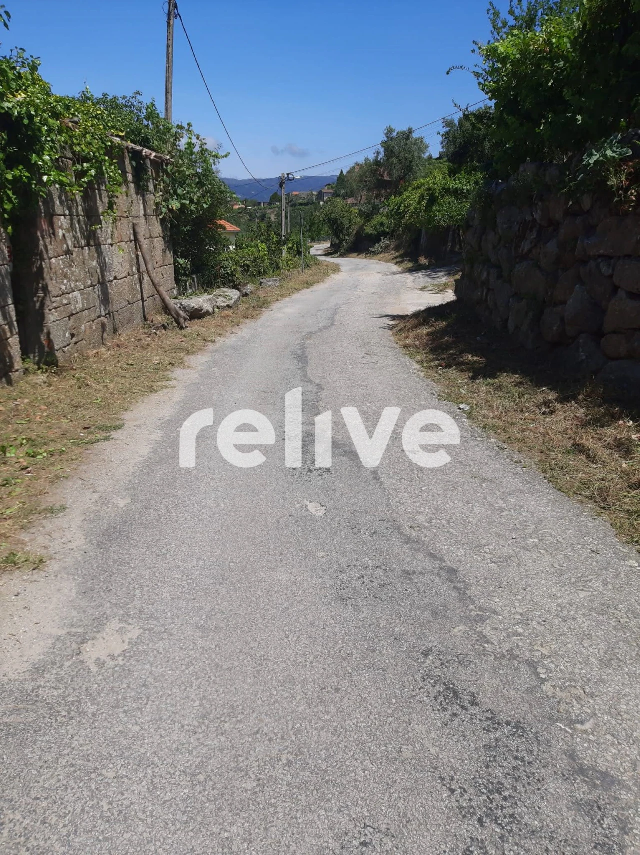 Quinta T3 para Venda em Anreade e São Romão de Aregos Foto 3
