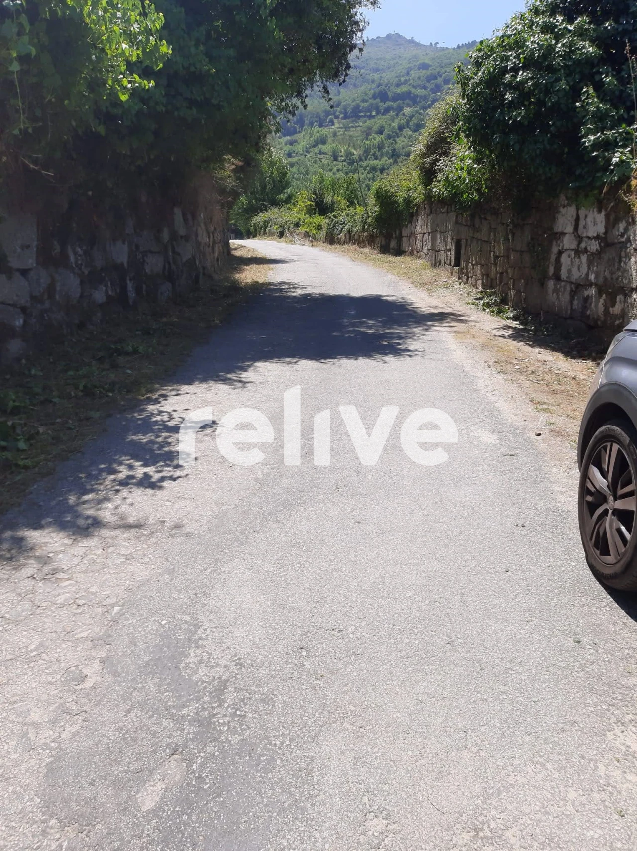 Quinta T3 para Venda em Anreade e São Romão de Aregos Foto 5