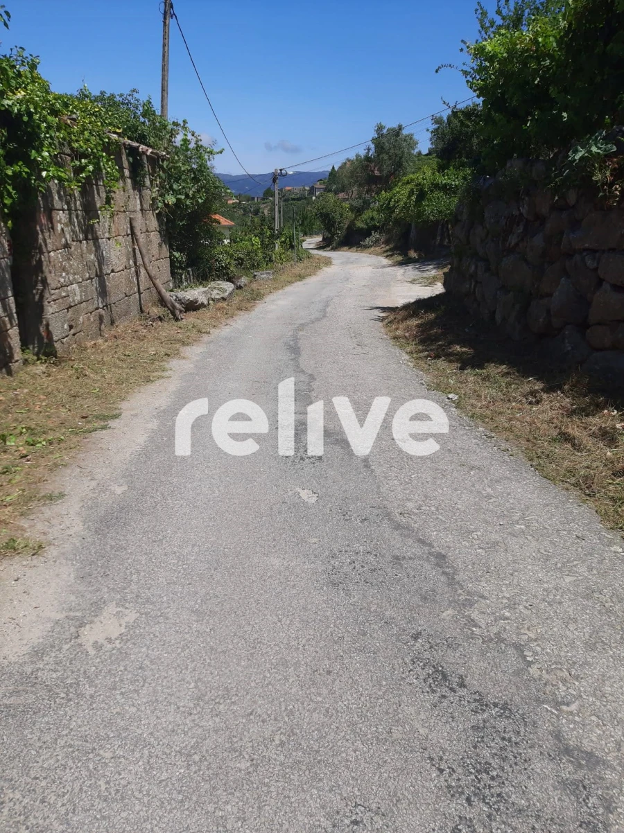 Quinta T3 para Venda em Anreade e São Romão de Aregos Foto 3