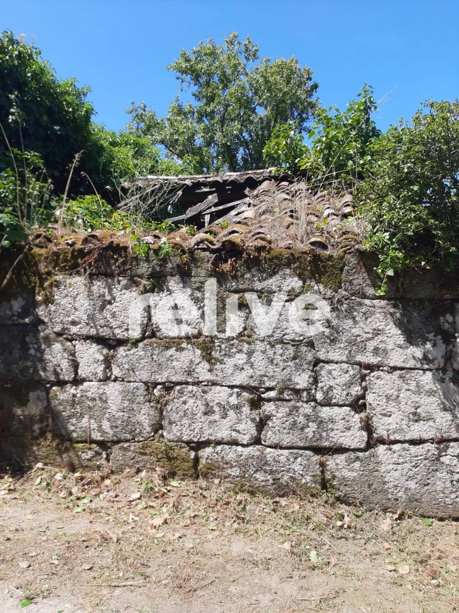 Quinta T3 para Venda em Anreade e São Romão de Aregos Foto 17
