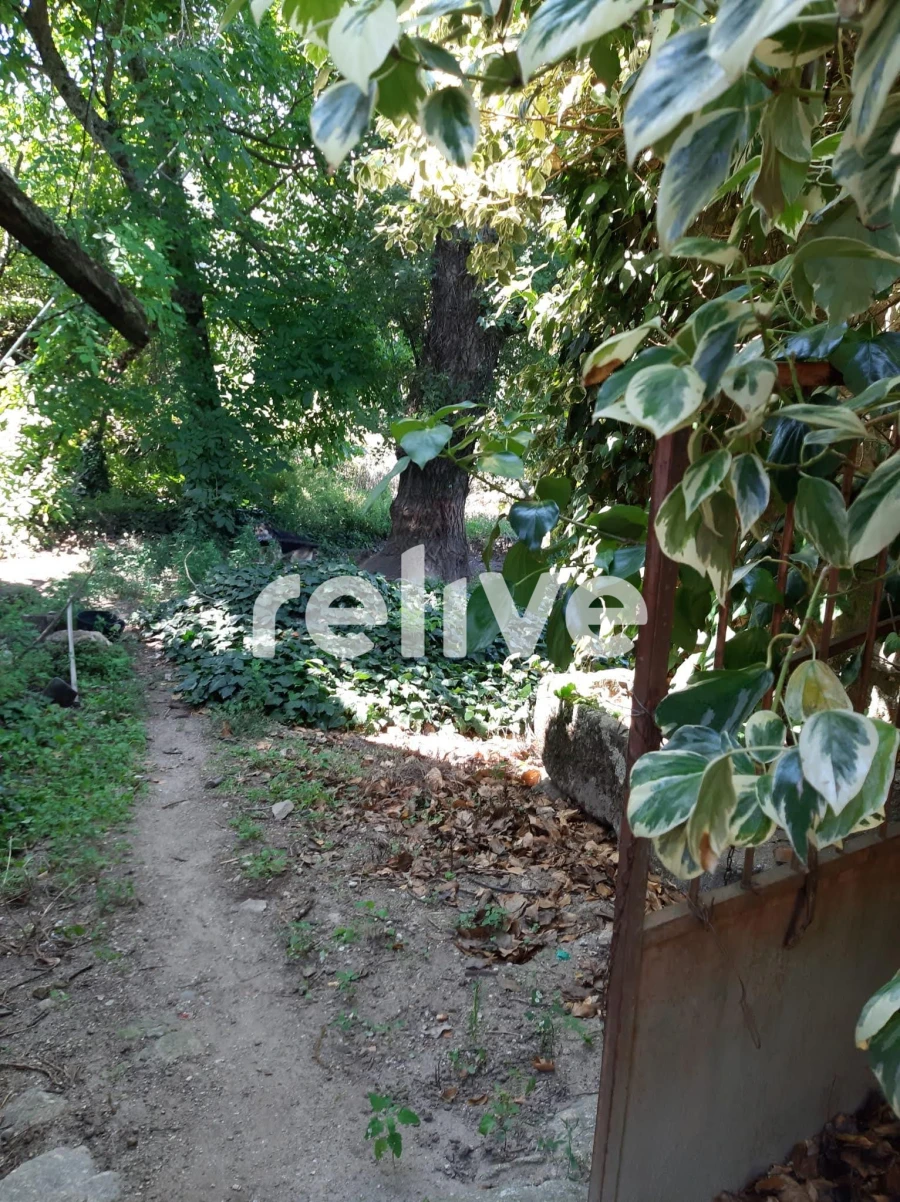 Quinta T3 para Venda em Anreade e São Romão de Aregos Foto 10