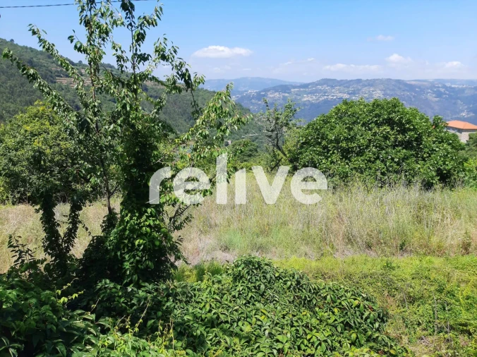 Quinta T3 para Venda em Anreade e São Romão de Aregos