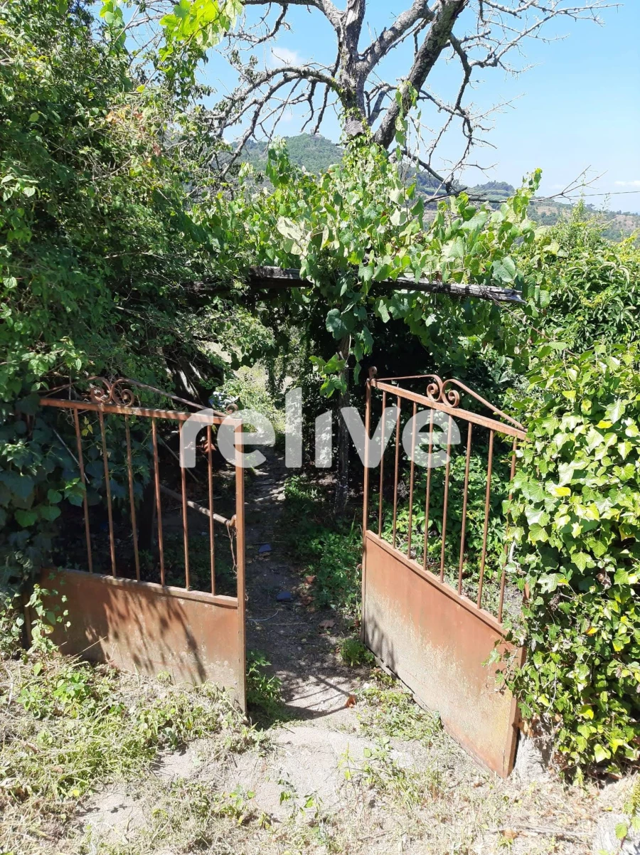 Quinta T3 para Venda em Anreade e São Romão de Aregos Foto 13