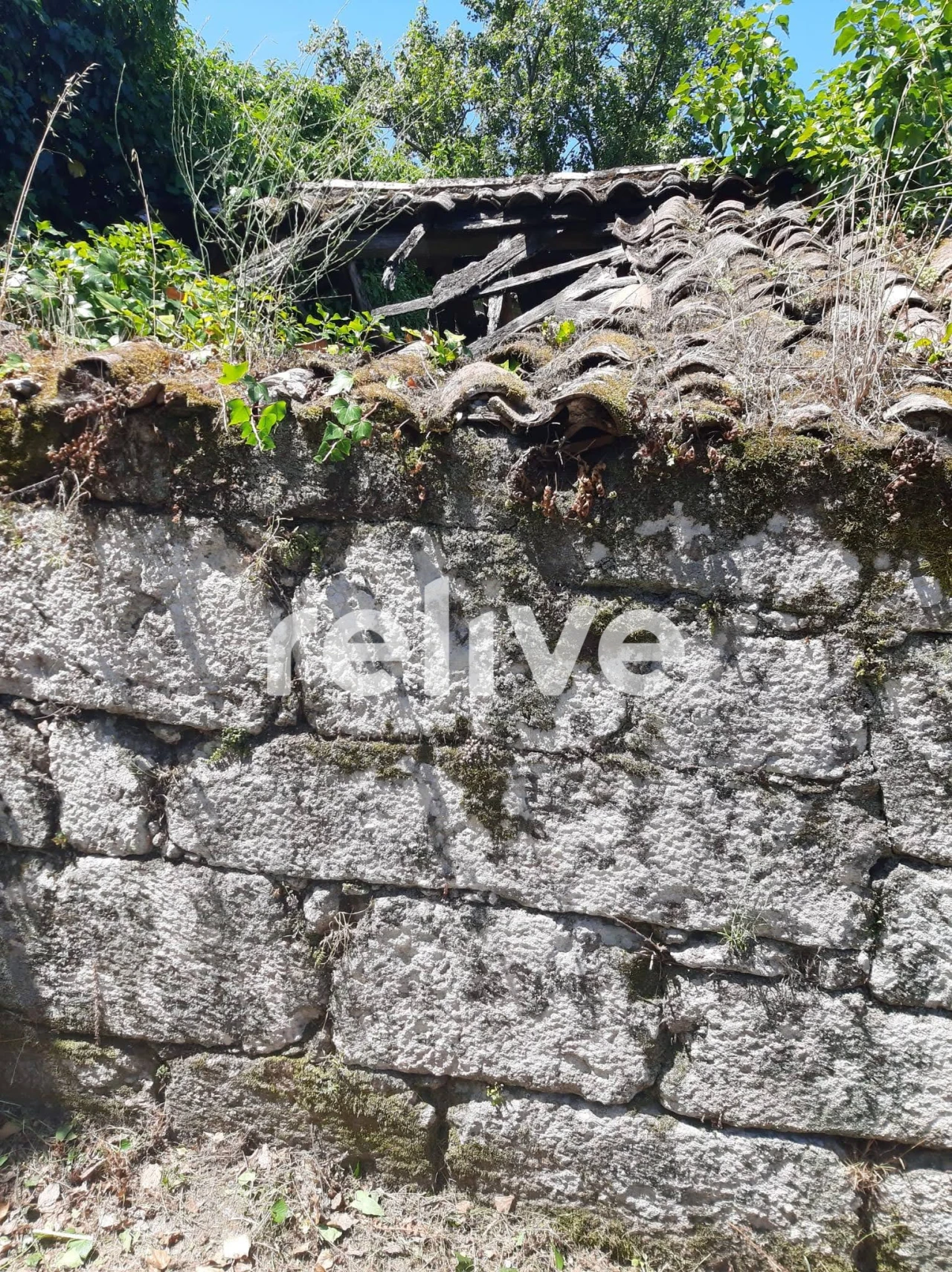 Quinta T3 para Venda em Anreade e São Romão de Aregos Foto 18