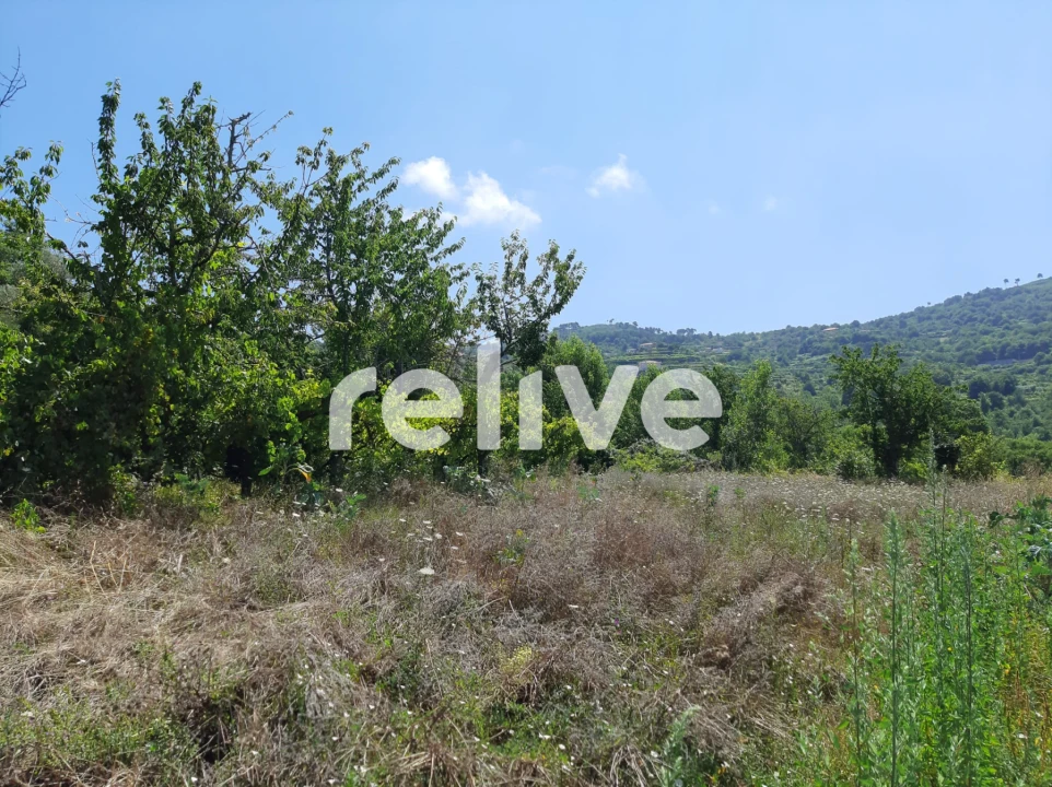 Quinta T3 para Venda em Anreade e São Romão de Aregos Foto 6