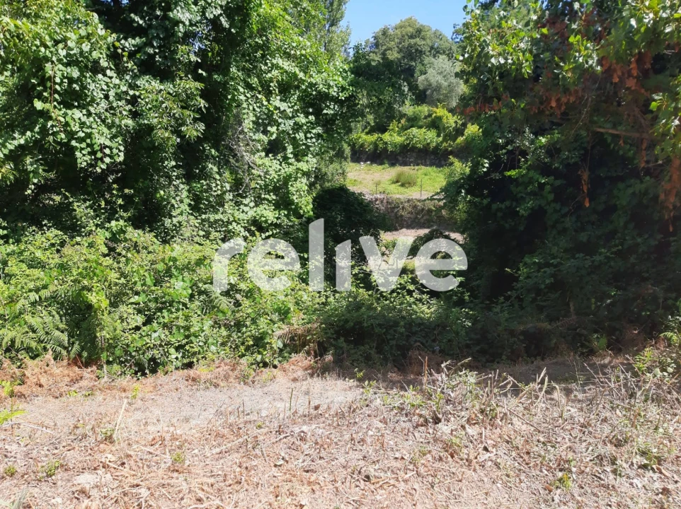 Quinta T3 para Venda em Anreade e São Romão de Aregos Foto 15