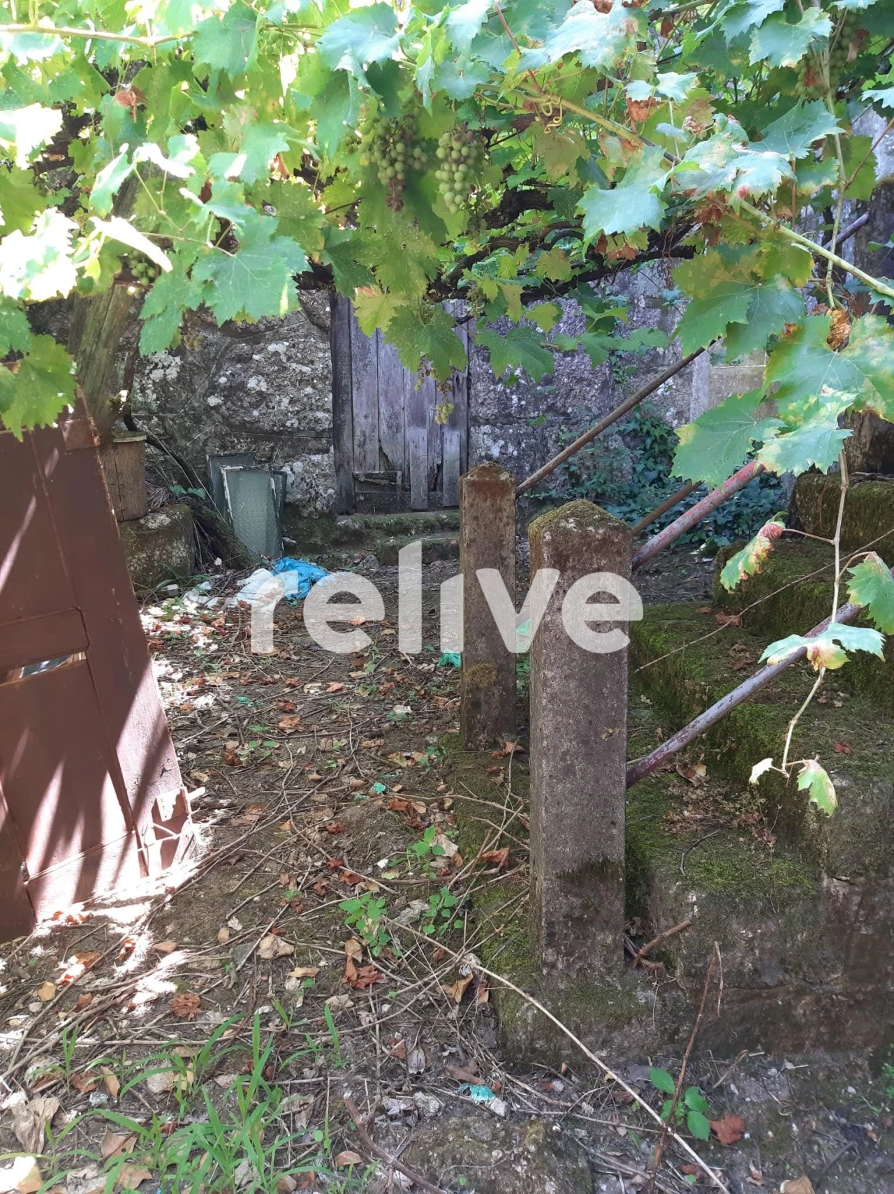 Quinta T3 para Venda em Anreade e São Romão de Aregos Foto 19