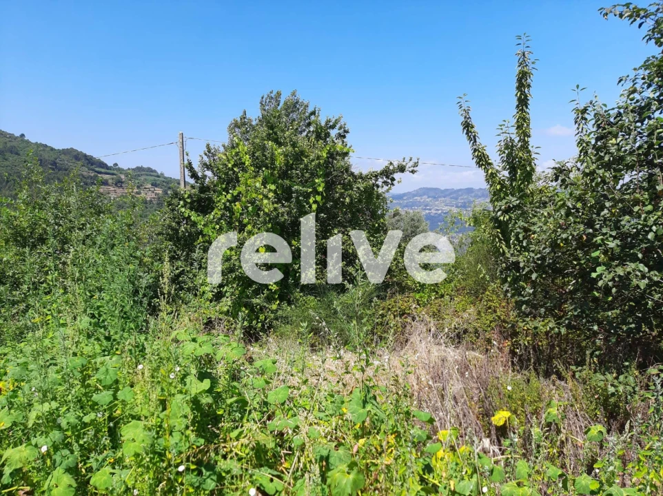 Quinta T3 para Venda em Anreade e São Romão de Aregos Foto 14