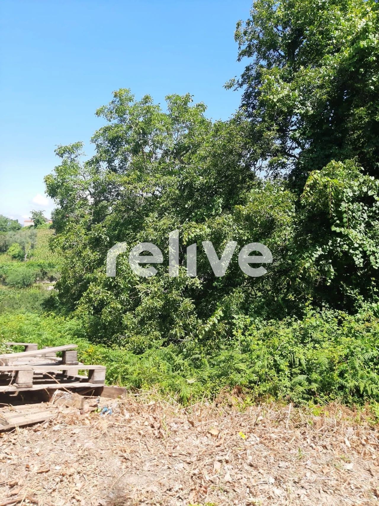 Quinta T3 para Venda em Anreade e São Romão de Aregos Foto 16