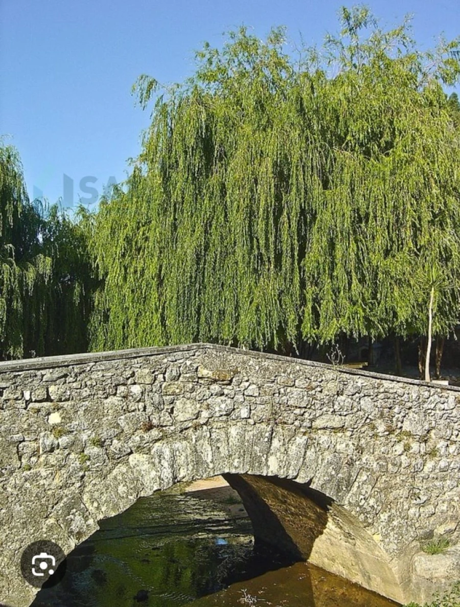 Terreno para Venda em Alcanede Foto 19