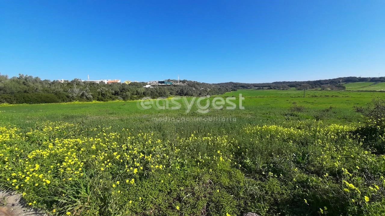 Terreno Agricola ou Rústico para Venda em Almargem do Bispo, Pêro Pinheiro e Montelavar Foto 3