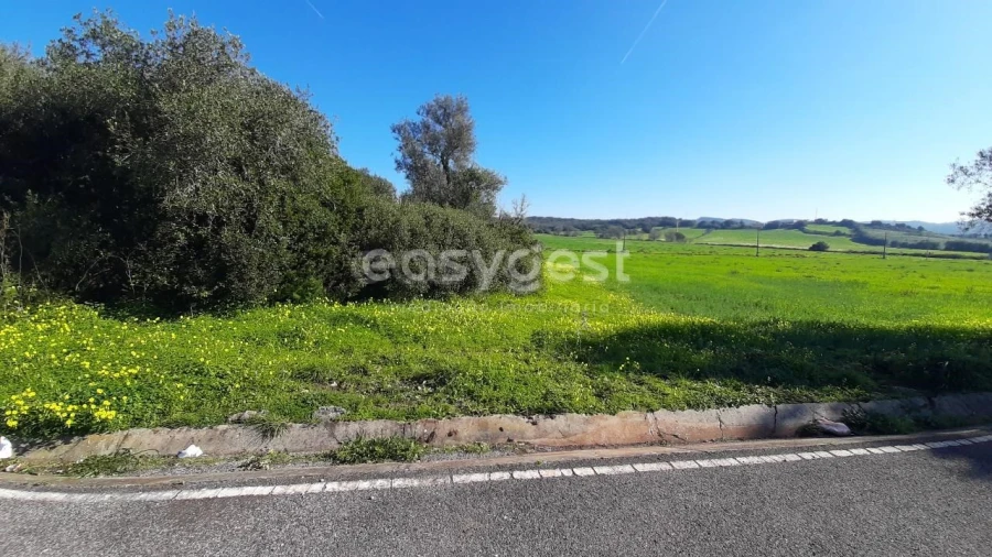 Terreno Agricola ou Rústico para Venda em Almargem do Bispo, Pêro Pinheiro e Montelavar