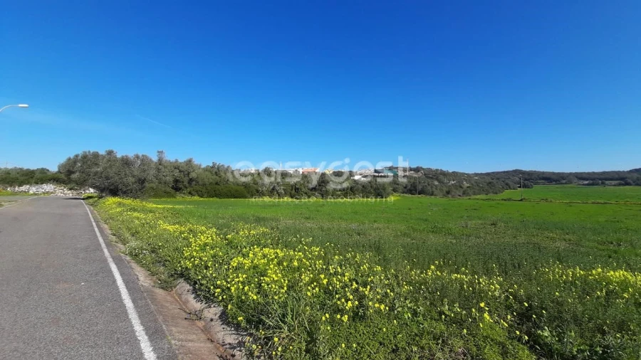 Terreno Agricola ou Rústico para Venda em Almargem do Bispo, Pêro Pinheiro e Montelavar Foto 4