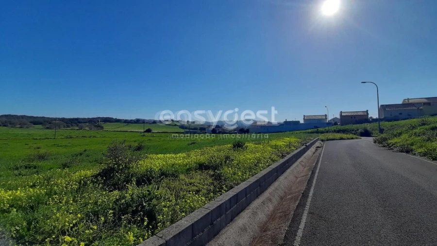 Terreno Agricola ou Rústico para Venda em Almargem do Bispo, Pêro Pinheiro e Montelavar Foto 5