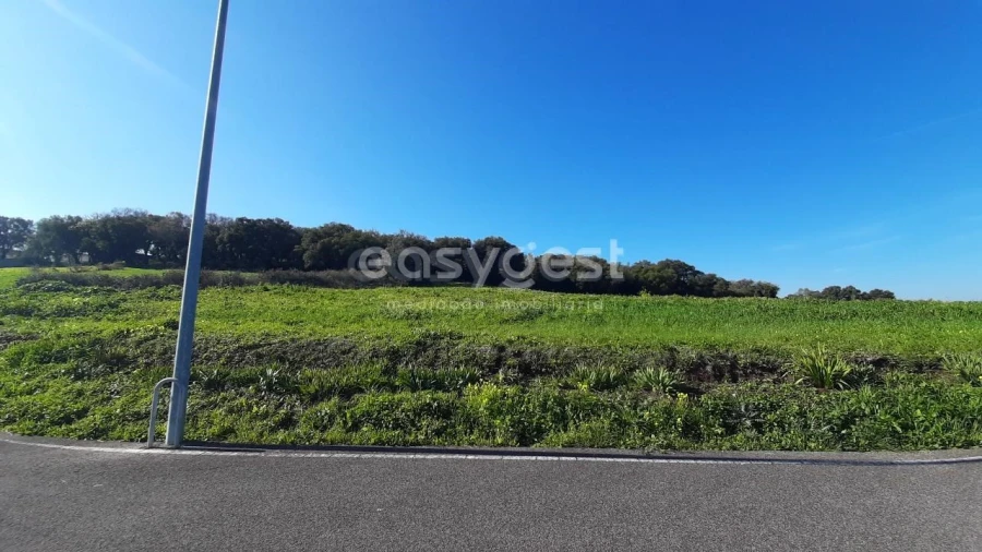 Terreno Agricola ou Rústico para Venda em Almargem do Bispo, Pêro Pinheiro e Montelavar Foto 6