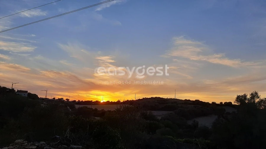 Terreno Agricola ou Rústico para Venda em Almargem do Bispo, Pêro Pinheiro e Montelavar Foto 13
