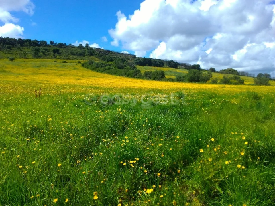 Terreno Agricola ou Rústico para Venda em Almargem do Bispo, Pêro Pinheiro e Montelavar Foto 1