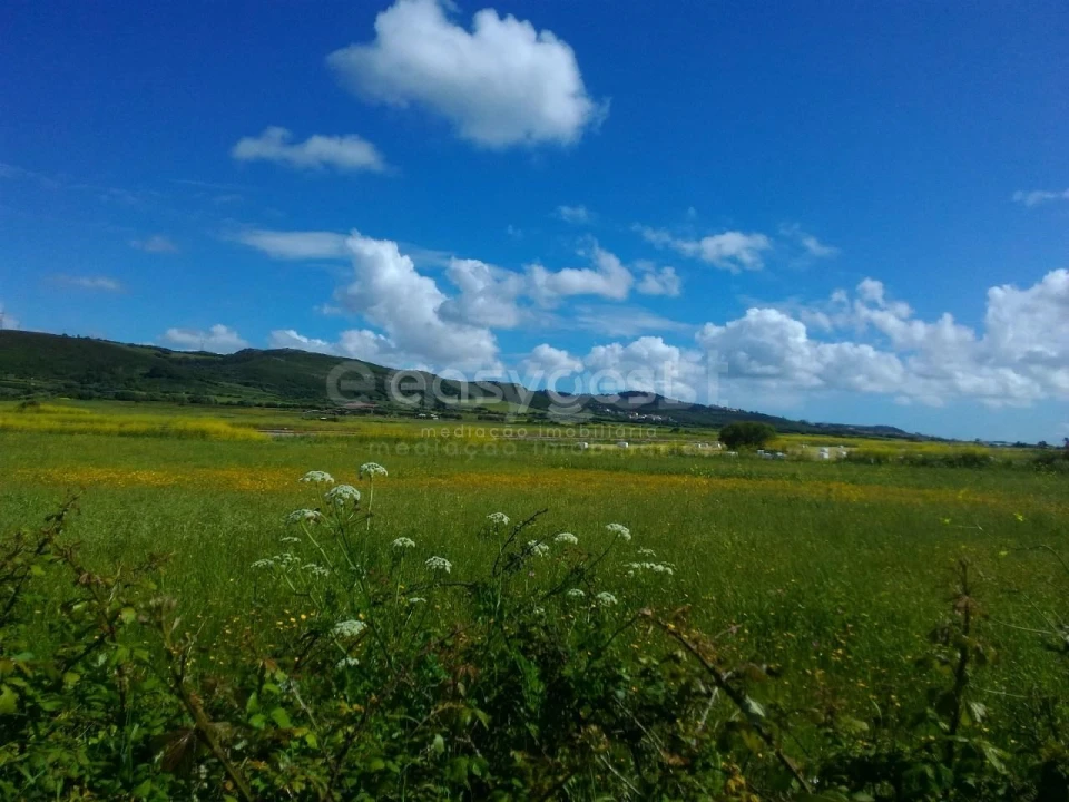 Terreno Agricola ou Rústico para Venda em Almargem do Bispo, Pêro Pinheiro e Montelavar Foto 7
