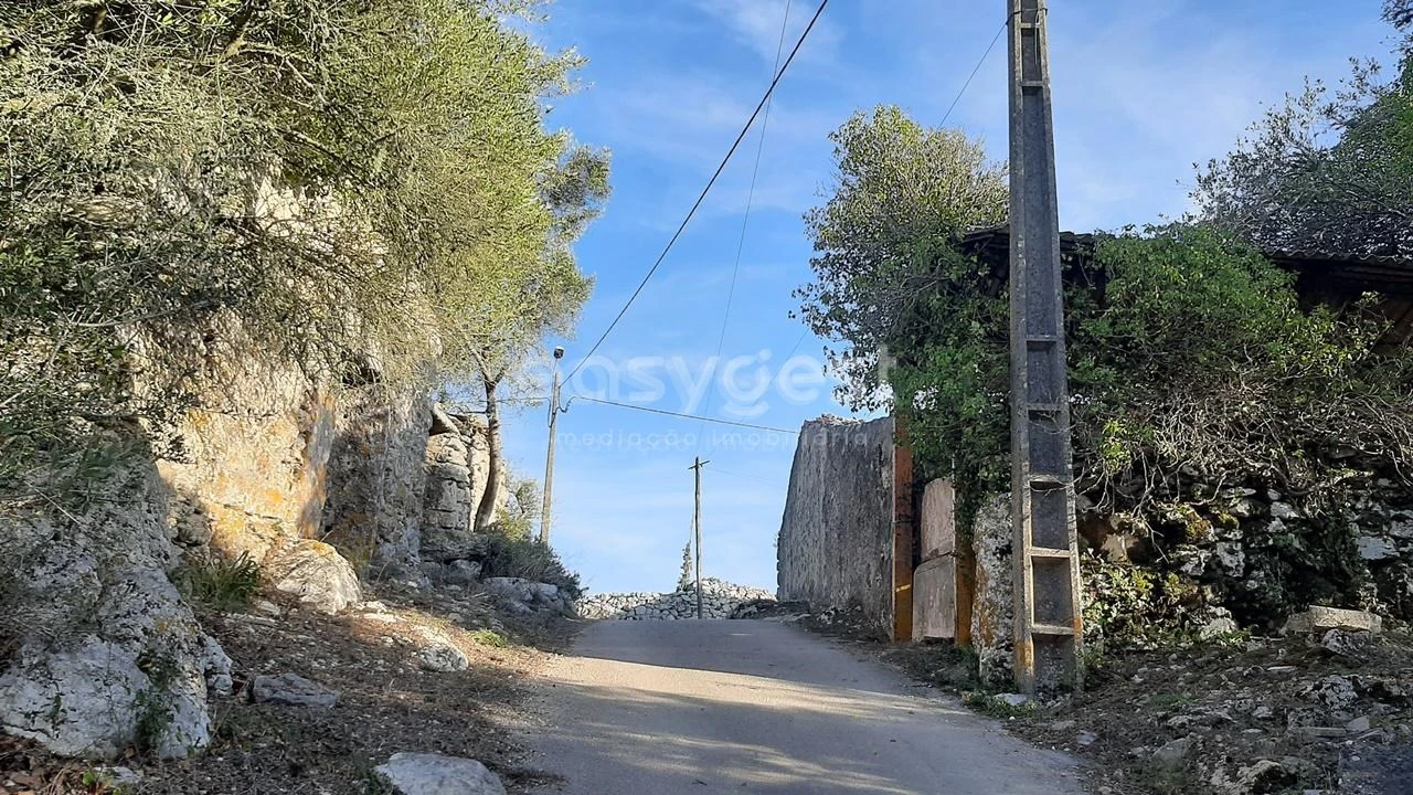 Terreno Agricola ou Rústico para Venda em Almargem do Bispo, Pêro Pinheiro e Montelavar Foto 11