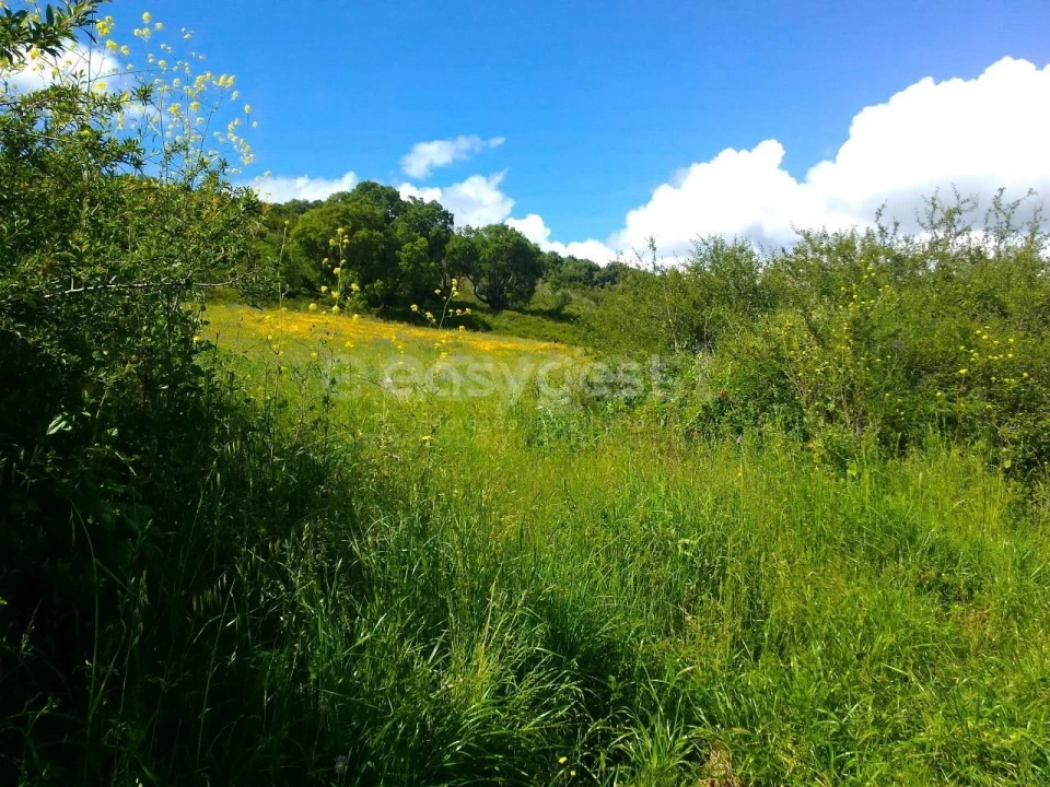 Terreno Agricola ou Rústico para Venda em Almargem do Bispo, Pêro Pinheiro e Montelavar Foto 14