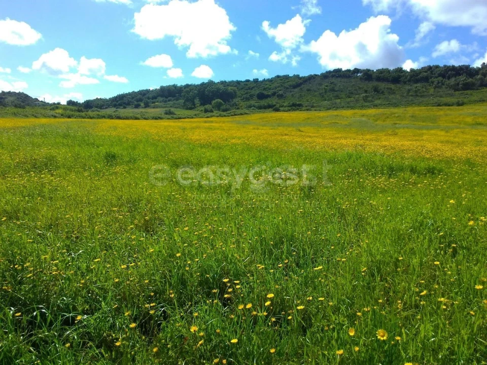 Terreno Agricola ou Rústico para Venda em Almargem do Bispo, Pêro Pinheiro e Montelavar Foto 15
