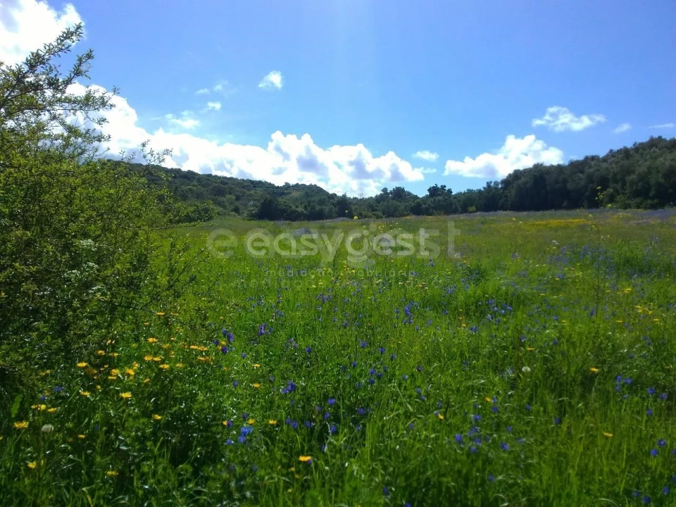 Terreno Agricola ou Rústico para Venda em Almargem do Bispo, Pêro Pinheiro e Montelavar Foto 16