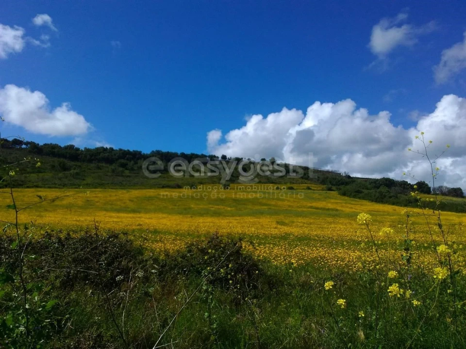 Terreno Agricola ou Rústico para Venda em Almargem do Bispo, Pêro Pinheiro e Montelavar Foto 17