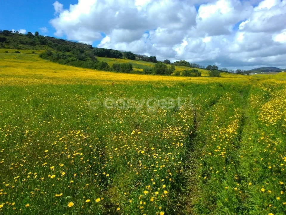 Terreno Agricola ou Rústico para Venda em Almargem do Bispo, Pêro Pinheiro e Montelavar Foto 21