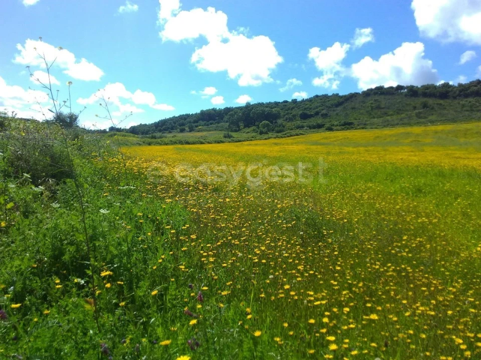 Terreno Agricola ou Rústico para Venda em Almargem do Bispo, Pêro Pinheiro e Montelavar Foto 22