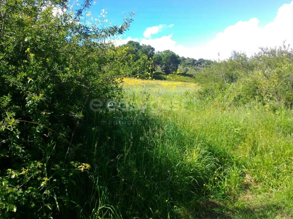 Terreno Agricola ou Rústico para Venda em Almargem do Bispo, Pêro Pinheiro e Montelavar Foto 28