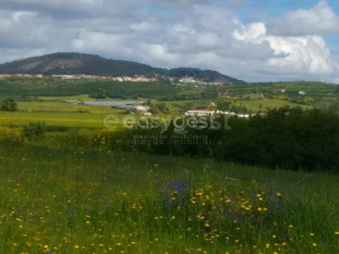 Terreno Agricola ou Rústico para Venda em Almargem do Bispo, Pêro Pinheiro e Montelavar Foto 3