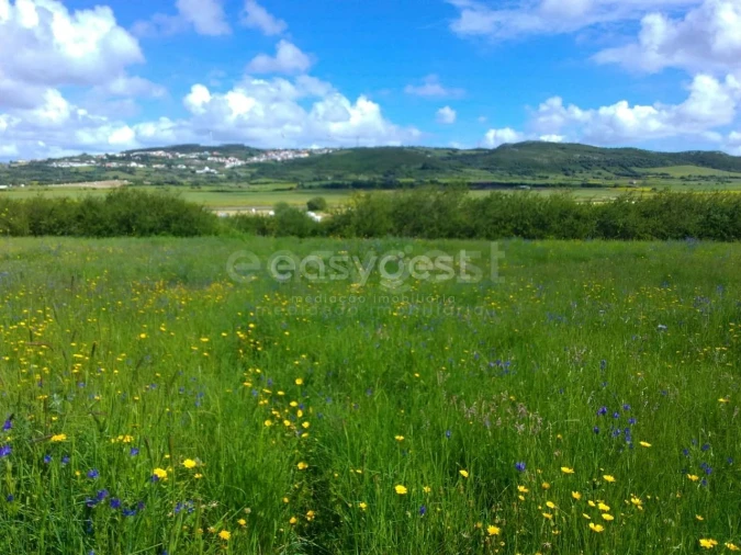 Terreno Agricola ou Rústico para Venda em Almargem do Bispo, Pêro Pinheiro e Montelavar Foto 5