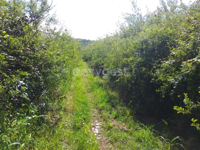 Terreno Agricola ou Rústico para Venda em Almargem do Bispo, Pêro Pinheiro e Montelavar Foto 6