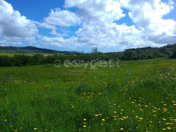 Terreno Agricola ou Rústico para Venda em Almargem do Bispo, Pêro Pinheiro e Montelavar Foto 8