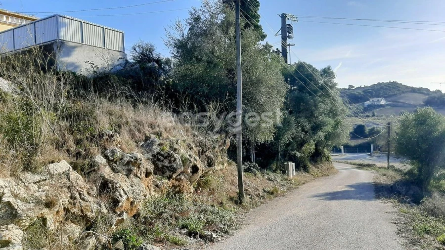 Terreno Agricola ou Rústico para Venda em Almargem do Bispo, Pêro Pinheiro e Montelavar Foto 9