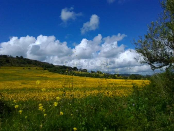 Terreno Agricola ou Rústico para Venda em Almargem do Bispo, Pêro Pinheiro e Montelavar Foto 18