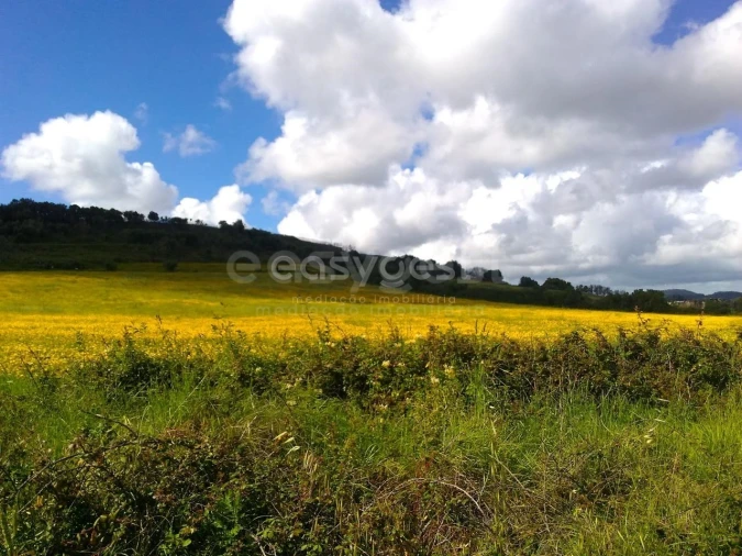 Terreno Agricola ou Rústico para Venda em Almargem do Bispo, Pêro Pinheiro e Montelavar Foto 23