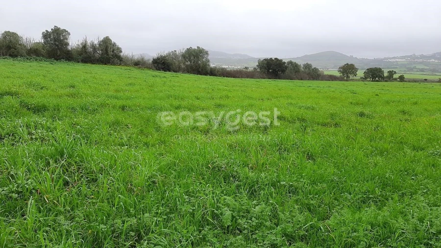 Terreno Agricola ou Rústico para Venda em Almargem do Bispo, Pêro Pinheiro e Montelavar Foto 24