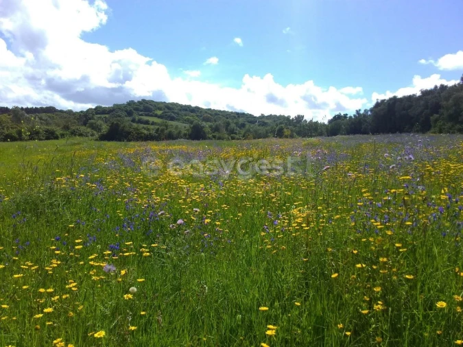 Terreno Agricola ou Rústico para Venda em Almargem do Bispo, Pêro Pinheiro e Montelavar Foto 26