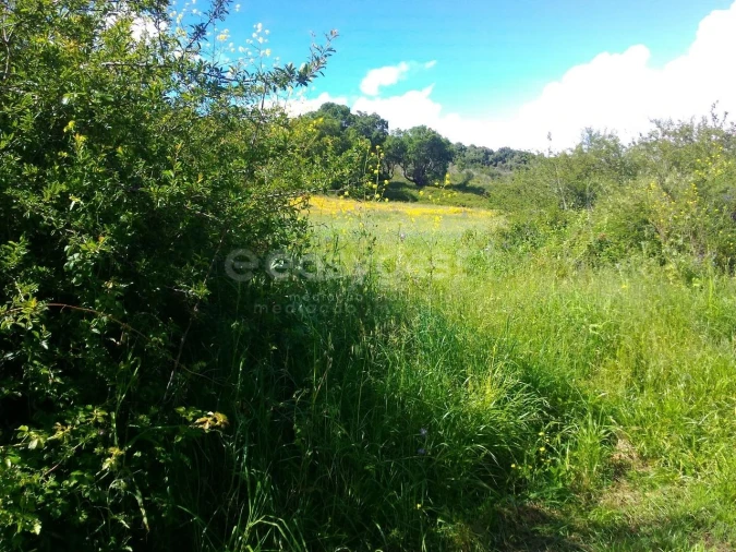 Terreno Agricola ou Rústico para Venda em Almargem do Bispo, Pêro Pinheiro e Montelavar Foto 28