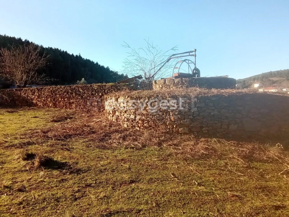 Terreno Misto para Venda em Souto da Casa Foto 1